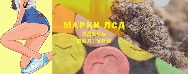 сатива Алзамай