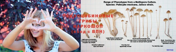 альфа пвп Алексин