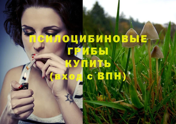 сатива Алзамай