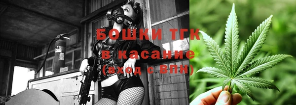 сатива Алзамай