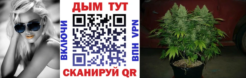 Конопля конопля  МЕГА зеркало  Саки 